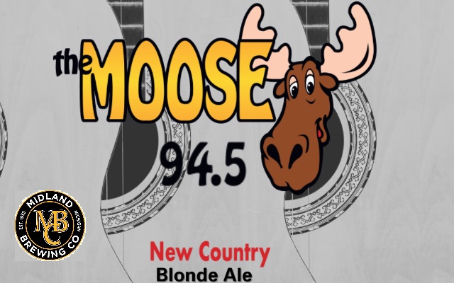 Our Moose Brew Is Back!