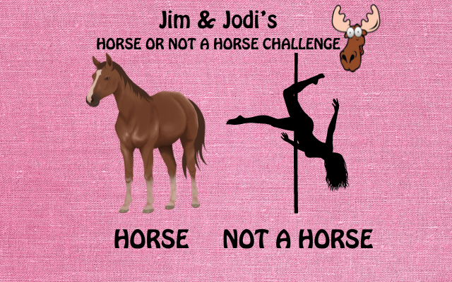 JIM & JODI'S HORSE OR NO HORSE CHALLENGE IN HONOR OF THE KENTUCKY DERBY